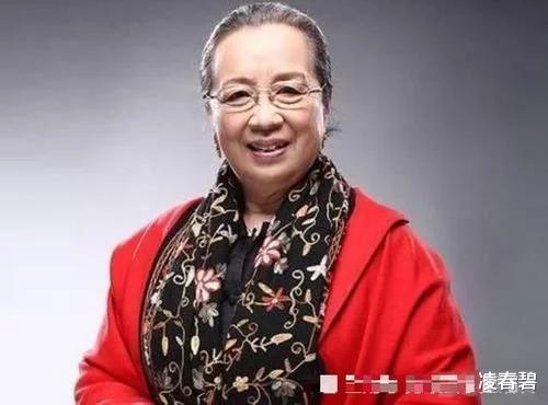 『容嬷嬷』有种遗憾叫容嬷嬷的儿子出道十年没红，儿媳却在延禧攻略一炮而红