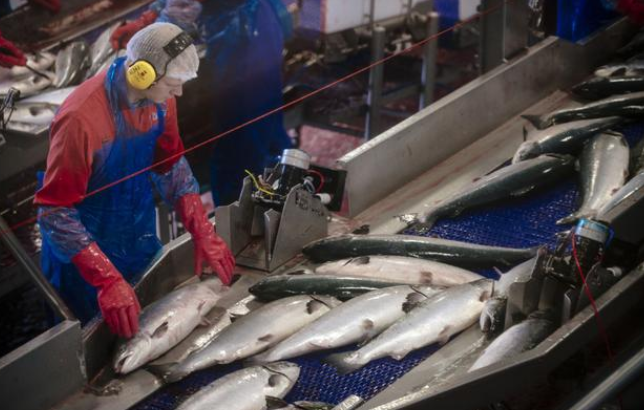 『新发地』基因测序显示新发地确诊新冠来自欧洲，财新和三联瞬间尴尬，无法甩锅了…