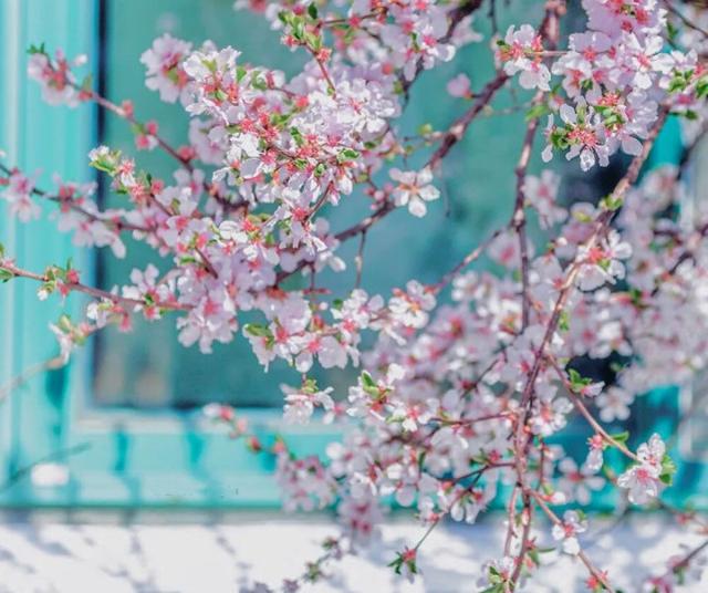生肖|喜欢你,就会什么都依着你的星座男,很享受宠爱女友的状态