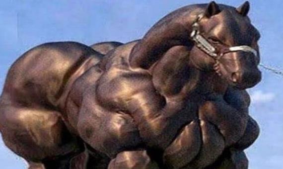 科学家@动物界的“史泰龙”从来不用锻炼,肌肉壮硕如“猛虎”