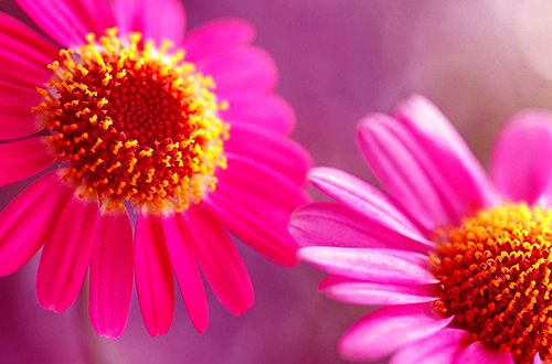 摩羯座|8月1日开始，事业起飞，财库打开的三个星座