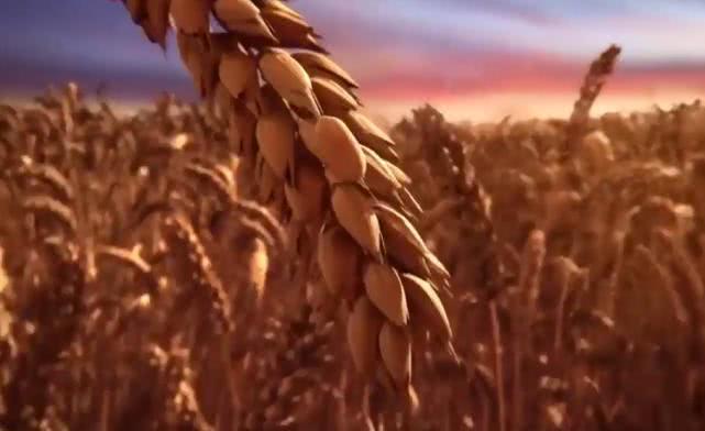 科学家■可能会让世界终结的10大科学实验，其中一项会让5亿人丧命