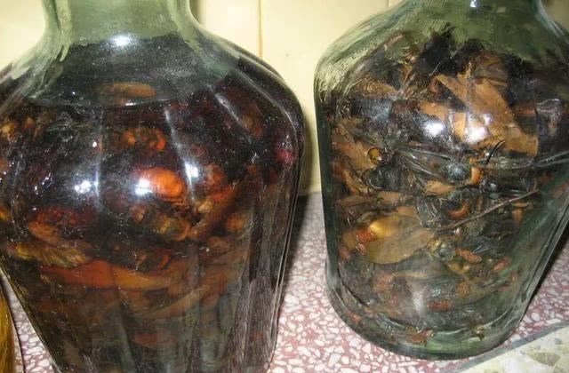 [面粉]商品饵太贵，工薪阶层如何自制鱼饵？我搜集了这些方法