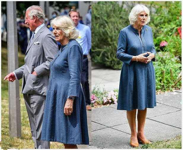 『连衣裙』卡米拉下狠劲!蓝色连衣裙减龄不少,减肥20斤腰上还是一大圈肉