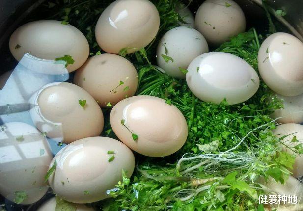 #癌细胞#鸡蛋的“死对头”找到了，经常一起食用，癌细胞越来越多