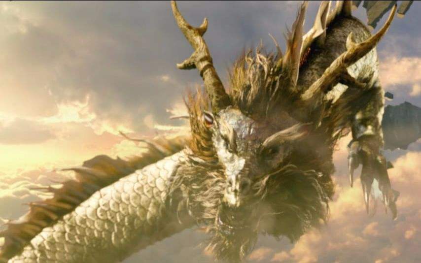 营口|有照片报导的坠龙事件，专家说是鲸，你信吗？