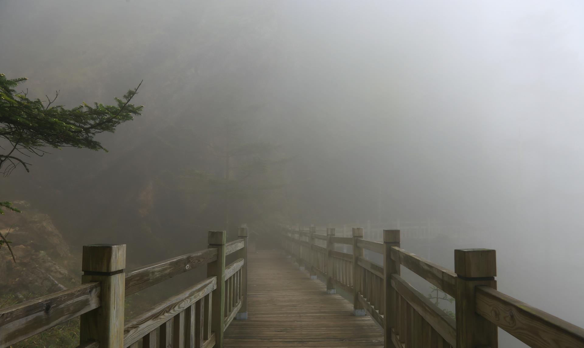 「神农架」神农架行记｜徒步神农谷，谷深雾浓；探秘金猴岭，林密水清