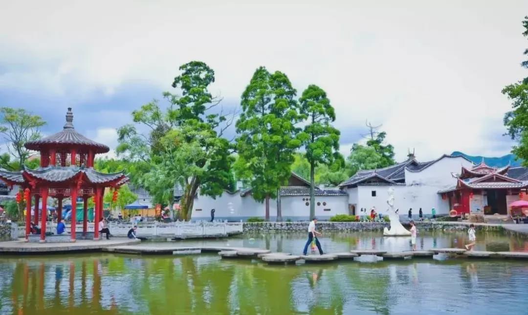 南平|衢宁铁路开通！南平宁德美景霸屏，每一站都惊艳！