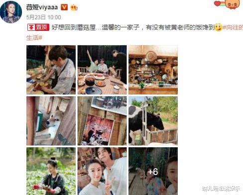 黄磊：黄磊做饭真的很好吃吗？薇娅晒出无滤镜照片后，粉丝：有点失望
