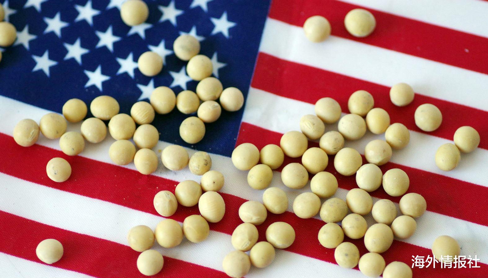 中美|美国农业部“果断出手”，与中国签订单日最大规模玉米采购合同