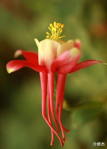 天蝎座|9月末，刻骨相思，无法自拔，姻缘转身，前任归来的四大星座