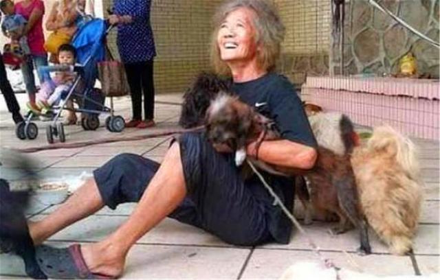 晓君侃史|香港富二代继承5000万遗产，却挥霍一空，如今街头拾荒与狗为伴