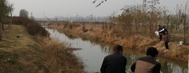 |焦作大沙河这1段成钓鱼好去处，周末有近100人在这附近钓鱼玩耍