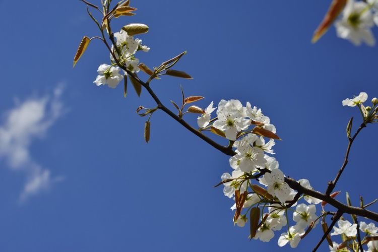 生肖|9月底，好运上上签，桃花财运通通到，喜事接二连三的4个生肖！