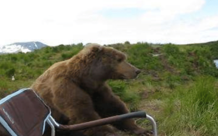 环球人物|俄罗斯男子在钓鱼,跑过来一头大棕熊,非常礼貌的坐在一边观看