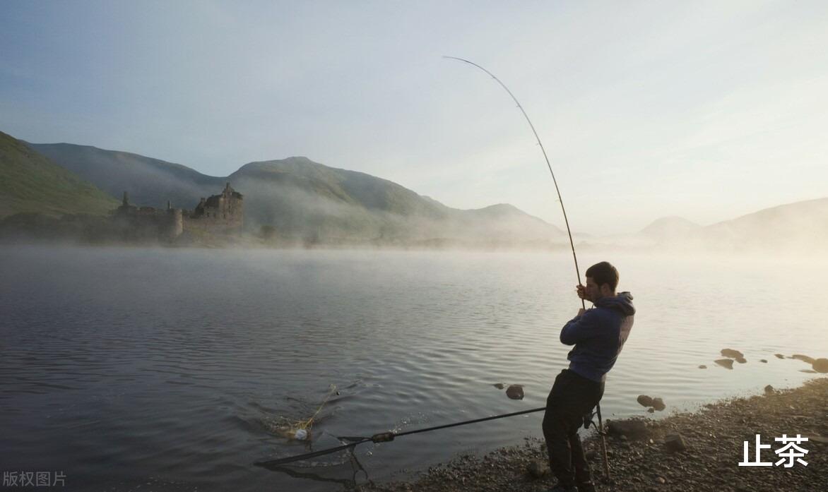 医院|过去农村很少有人钓鱼,现在为啥农村钓鱼人越来越多?看老农咋说