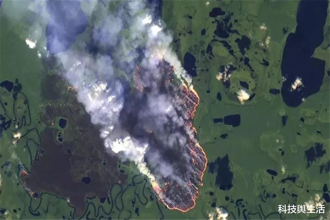 美國大火難以撲滅，巴西再次出現山火，2020年是怎麼瞭？-圖3