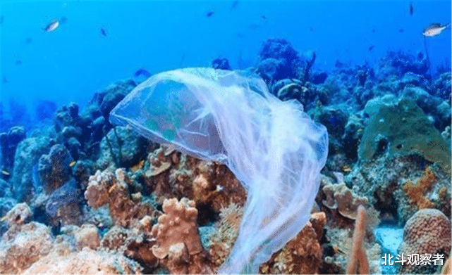 卫星|美卫星监测到异象，有1000个香港面积大的物体，正飘往中国