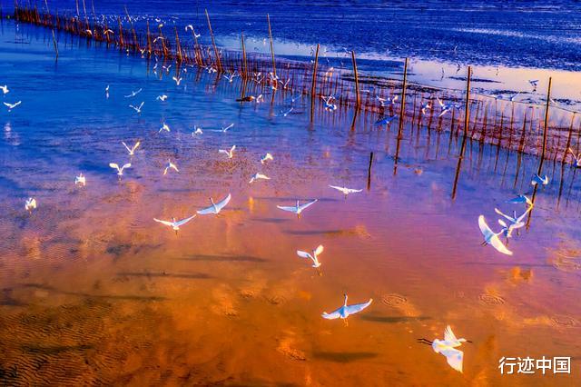 霞浦|广西此岛拥有媲美霞浦的滩涂, 被誉为广西马尔代夫, 却鲜有人知 !