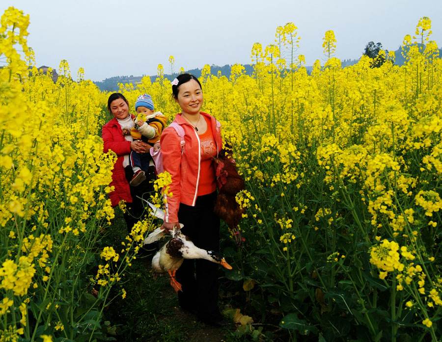 [鸡蛋]2020年，农村外嫁女有福了，5项权益等你领取，你领到了吗？