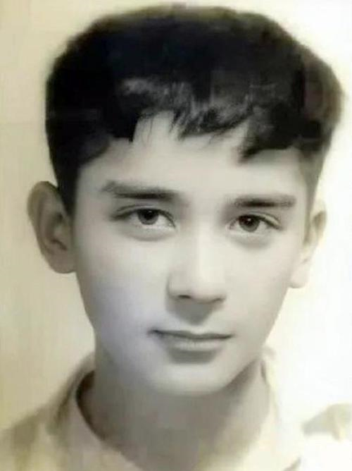 王德民|中国最帅院士王德民：高考成绩几乎满分，却被清华北大拒之门外