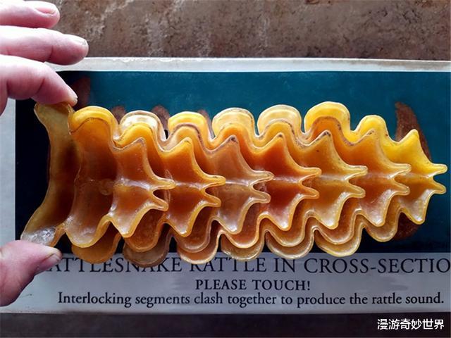 ：这些东西内部长啥样？25张照片揭示日常事物看不见的一面！