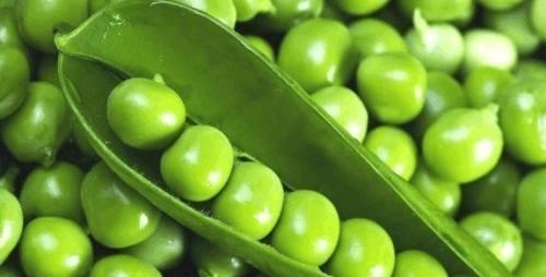 【黑鹰】美国加州出现鹰类杂交，引起科学家注意，动物杂交越来越普遍了？