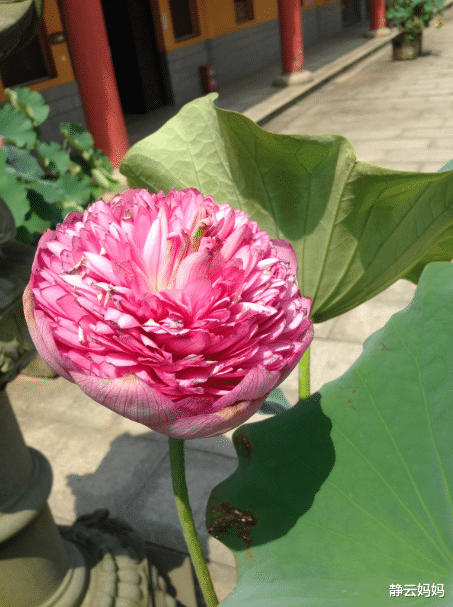 「长沙」长沙13个免费旅游景点，个个精心挑选，五一陪孩子好好玩尽兴