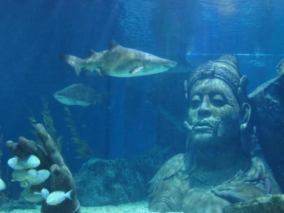 [科学家]海底出现神秘“玲珑塔”，科学家感到担忧：人类的警钟已敲响！