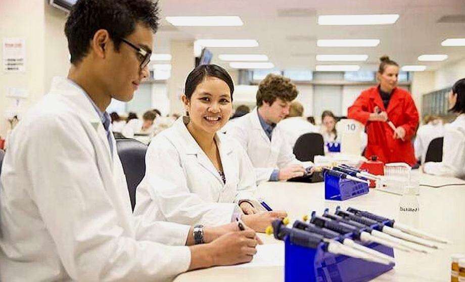 教师|今年最受欢迎4类专业，分数线明显提高，报考人数大增！