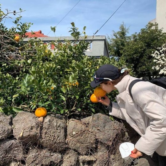 韩智慧：韩智慧公开10年主妇生活 为丈夫搬到济州岛 远离渣男李东健获幸福