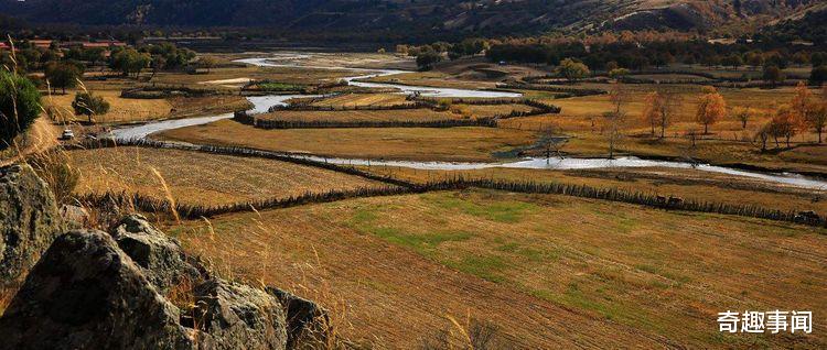 |生命力超强的蚂蟥，有着雌雄两套生殖器官，晒不死也切不死