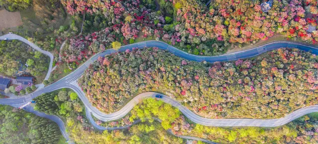 贵州|2020年世界十大旅游地，中国唯一入榜的省份，值得打卡