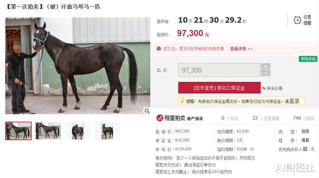 #扬州#扬州新地标运营方破产,名下赛马遭拍卖抵债,一匹汗血马叫价9万