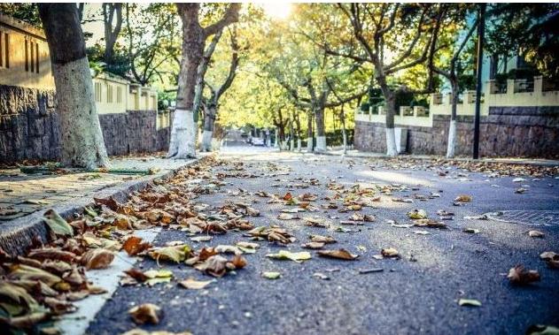 青岛市|中国最不怕水淹的城市,城市幸福感排名第一,一直被误认为是省会