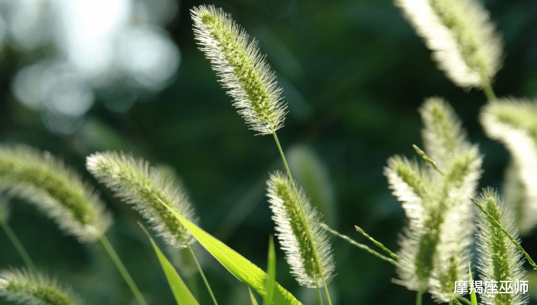 天蝎座|11月，时光易老，出现转机，前任不忘归处，感情升温，苦尽甜来