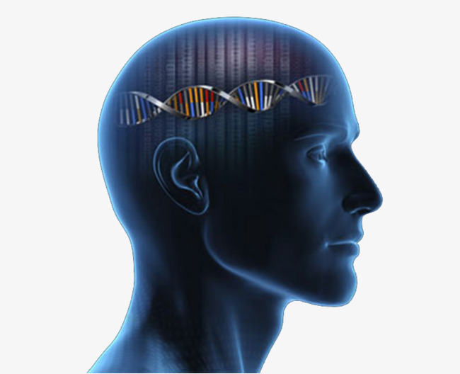 旅行者|人类只是基因的奴隶？——人为什么活着？只是为了延续基因