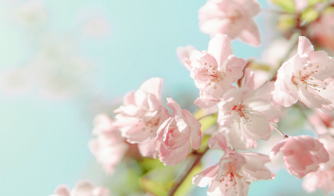 【】明日气温冲刺31℃！  您的“五一”天气已到账