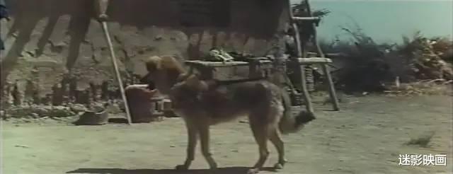 香港|中国无厘头电影鼻祖，功夫大战外星人，34年后再看依然笑死人！