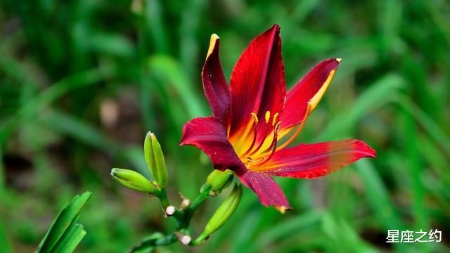 运势▲在5月中旬,勇往直前,不畏艰险,胜利在望的三大星座