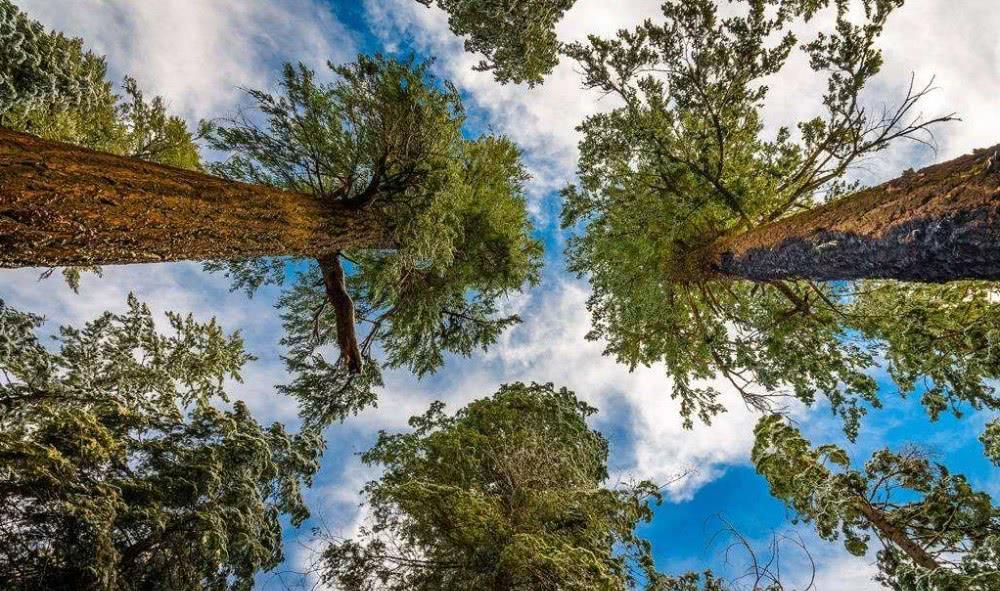 科学家：整个宇宙都是虚拟的？这些细节早已暴露，连树叶都是被设定好的