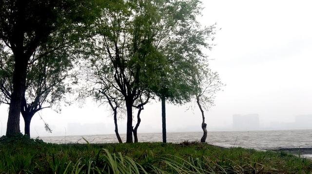 南湖@武汉城区体验糟糕的湖滨绿道：绿化虽好，水体恶劣，隐藏垂钓圣地