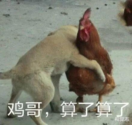 「」女子被骗24万后，她又把钱「骗」回来了！