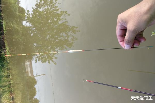 鲫鱼|钓鱼绝杀技巧：解析无铅钓法，钓得更远，优势就巨大，钓鱼人必学