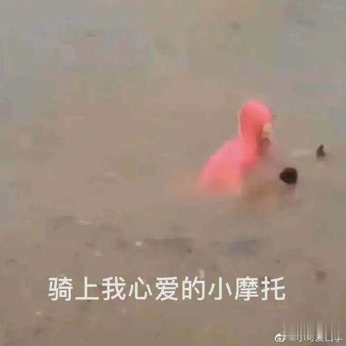 暴雨:7月开启,有出梅的迹象吗?