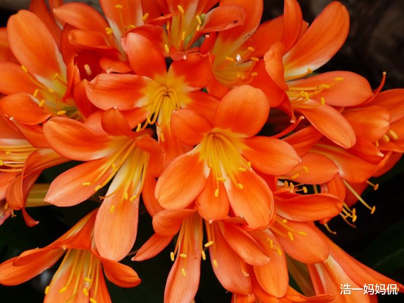 天秤座@6月下旬,运势上上吉的3生肖,事业顺利进行,名利双收,恭喜