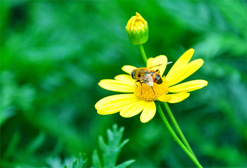 金牛座■去年小人缠身，今年好运倍增的3大星座