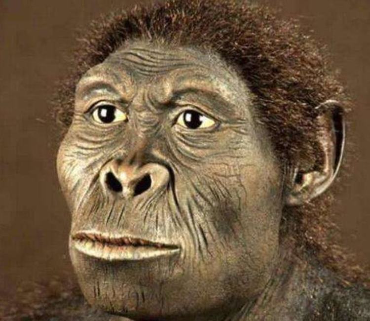 @地球上原本没有人类, 那第一个“人”从何而来? 看完瞬间涨知识了