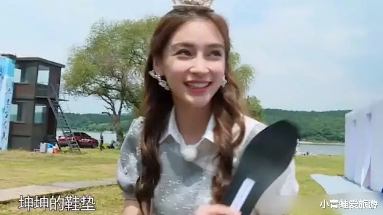 赵丽颖|《中餐厅》《奔跑吧》竞争收视率，baby赵丽颖谁更火？收视率一目了然