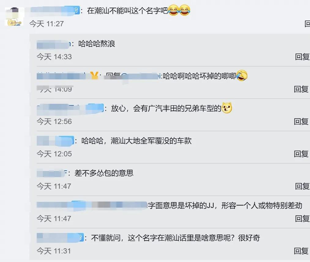 丰田|丰田新车名字是句脏话？潮汕、福建车主表示不想购买